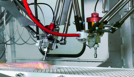 Robot-assisted filleting machinery for the fish industry