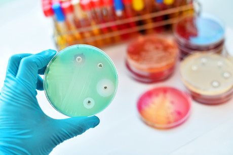 New antibiotic resistance report identifies ongoing threat