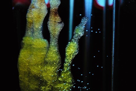 New stem cell treatment for vascular diseases