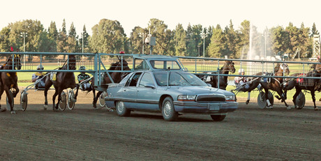 Mobile plant strikes horse race spectators