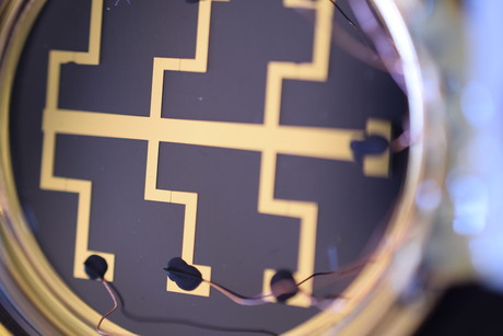 It&#39;s alive! Zapping bacteria with an electrical field