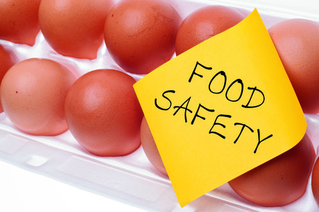 Egg industry cracks down on <em>Salmonella</em> Enteritidis
