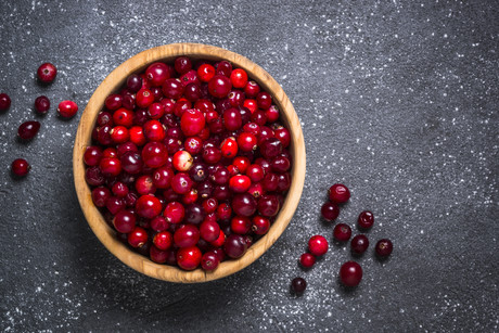 Cranberries increase bacterial sensitivity to antibiotics