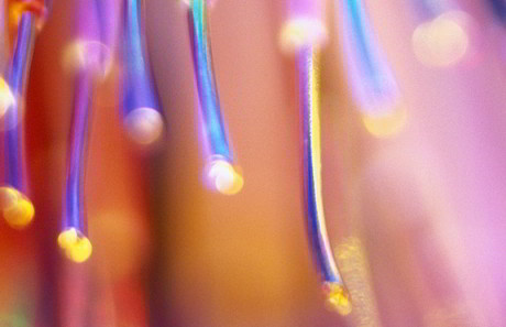 Queensland establishes fibre company