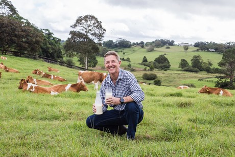 Tech keeps milk fresh for 60 days Tech keeps milk fresh for 60 days