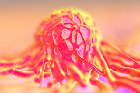 New pathway to make cancer self-destruct New pathway to make cancer self-destruct