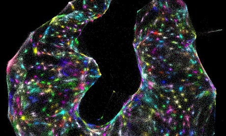 DNA microscopy — a new way to image cells DNA microscopy — a new way to image cells