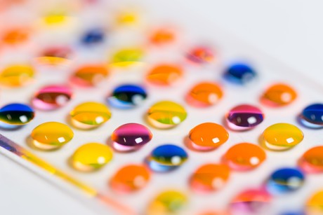 Drug development on a chip