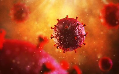 HIV completely eliminated from mice