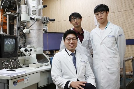 Na-ion batteries can be made using copper sulfide: research Na-ion batteries can be made using copper sulfide: research