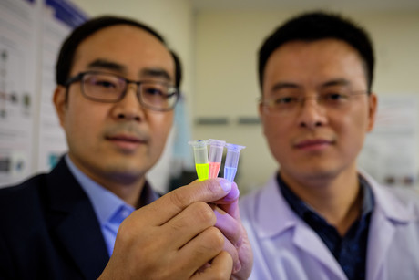 Imaging probes detect acute kidney failure early