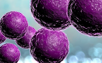 Natural antibiotics best at combating resistance