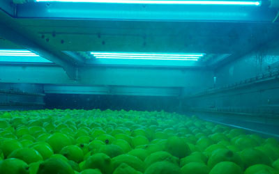 Clean fresh produce and vegetables without using water