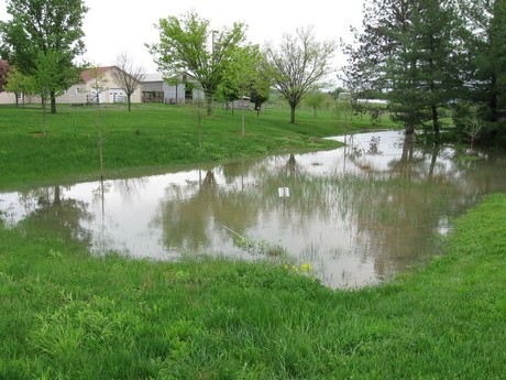 Stormwater basins bust nitrate