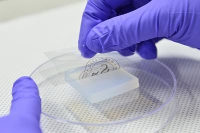 Flexible sensors created on topographic surfaces Flexible sensors created on topographic surfaces