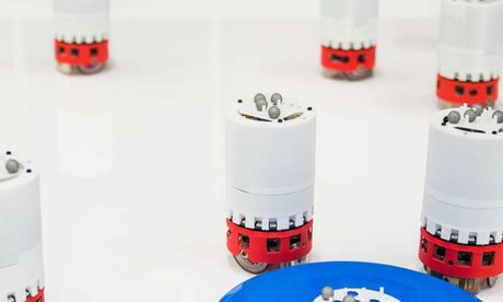 Research team builds robots that can learn to swarm on the go