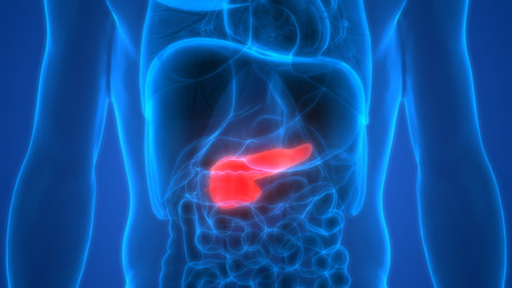 Inherited gene mutation raises pancreatic cancer risk