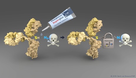 Drug transporters bring cancer medication to its destination Drug transporters bring cancer medication to its destination