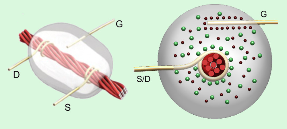 Transistors and other devices made entirely from thread