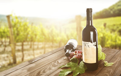 Brian Walsh to step down as Chairman of Wine Australia Brian Walsh to step down as Chairman of Wine Australia