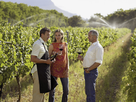 EU researchers blend viticulture and oenology at AWRI