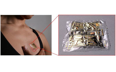 Signal amplifier developed for bioinstrumentation