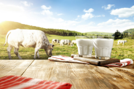 Got milk? Research reveals prehistoric British farmers did