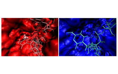 MicroRNA methylation a potential biomarker for cancer