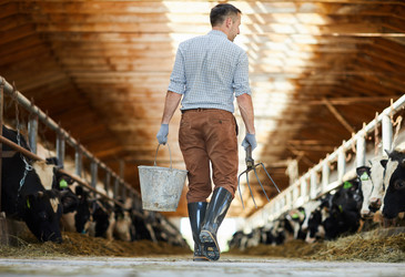 Beef and dairy industries predicted to collapse by 2030 Beef and dairy industries predicted to collapse by 2030