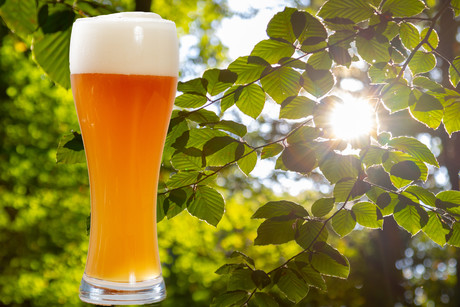 Lion takes on soft plastics