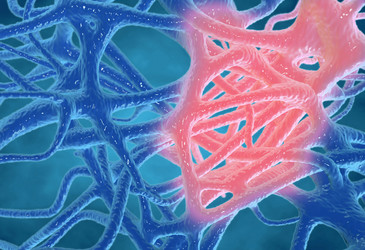 All flared up about inflammation All flared up about inflammation