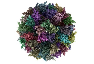 Thermostable vaccine can be stored at warm temperatures Thermostable vaccine can be stored at warm temperatures