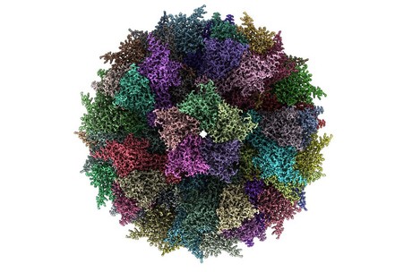 Thermostable vaccine can be stored at warm temperatures