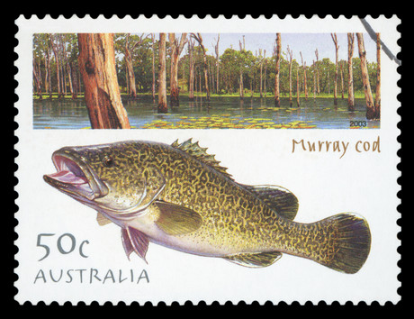 Govt prepares for summer fish deaths Govt prepares for summer fish deaths