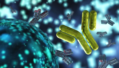 Better antibody validation required, study says