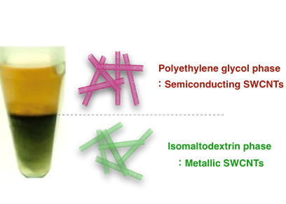 Dietary fibre purifies carbon nanotubes