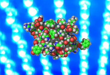 Light-activated cells produce insulin for diabetics Light-activated cells produce insulin for diabetics