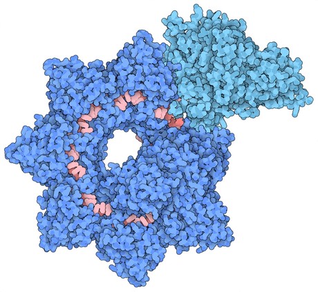 New gene editing tool could improve on CRISPR New gene editing tool could improve on CRISPR