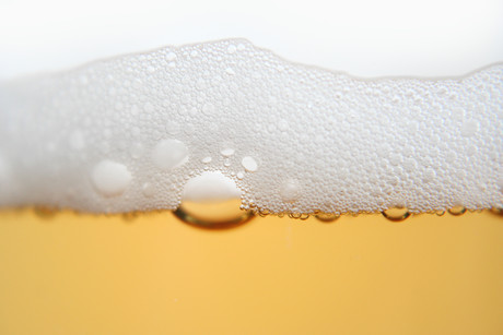 Cheering 2020 with the perfect beer head