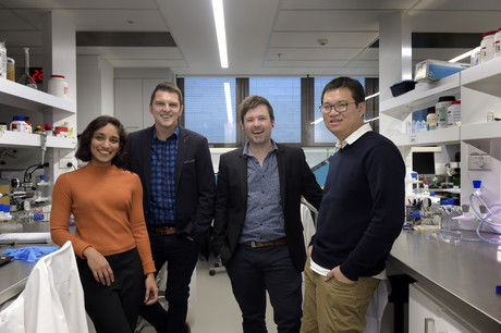 RMIT develops suberbug-shredding tech RMIT develops suberbug-shredding tech