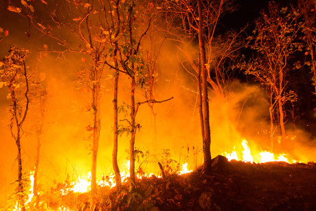 Confirmed: climate change increases bushfire risk