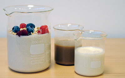 Plant-based bacteria used to make vegan yoghurt Plant-based bacteria used to make vegan yoghurt