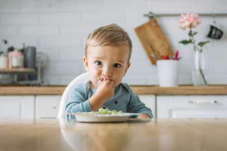 Old whooping cough vaccine could protect against food allergies Old whooping cough vaccine could protect against food allergies