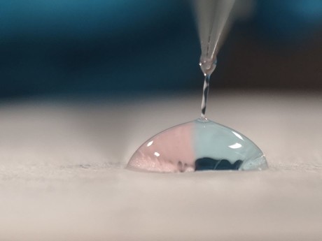 Antimicrobial fibre made from crab shells and seaweed Antimicrobial fibre made from crab shells and seaweed