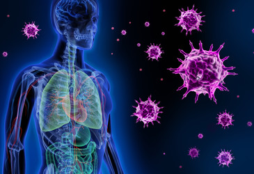 Childhood flu exposure impacts future susceptibility Childhood flu exposure impacts future susceptibility
