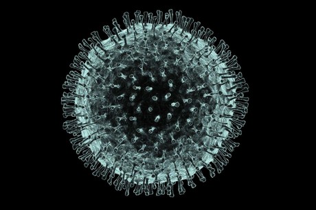 CSIRO joins coronavirus battle as global emergency declared