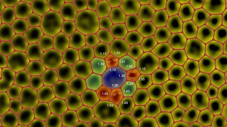 Scientists create atom-thick amorphous film Scientists create atom-thick amorphous film