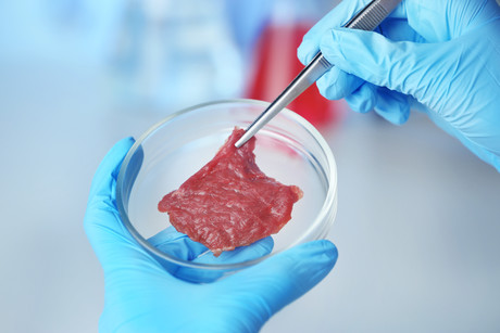 Partnership provides tools for cell-based meat research Partnership provides tools for cell-based meat research