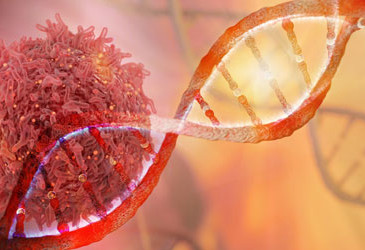 Genetic 'fingerprints' behind cancer drivers identified Genetic 'fingerprints' behind cancer drivers identified