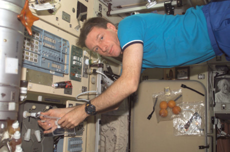 Bacteria on ISS no more dangerous than earthbound strains